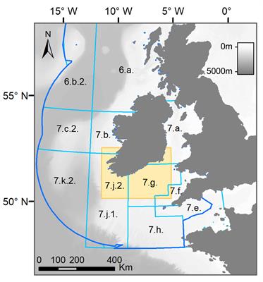 Response of cetaceans to fluctuations of pelagic fish stocks and environmental conditions within the Celtic Sea ecosystem